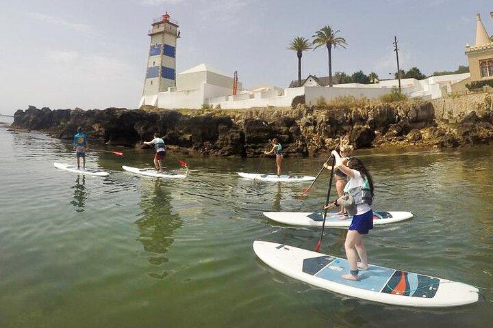 Stand-up paddle-boardingles in Cascais Bay