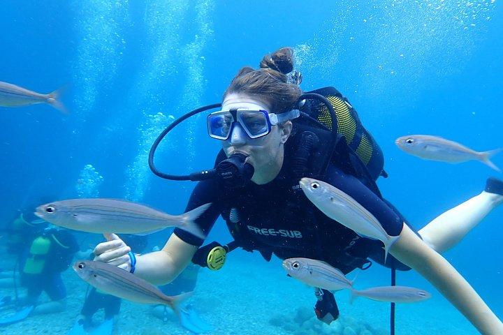 2 Guided Scuba Dives in Alanya with Lunch & Hotel Transfers