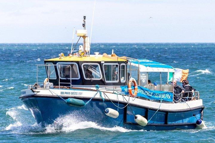 Howth Cliffs and Lighthouses Boat Tour