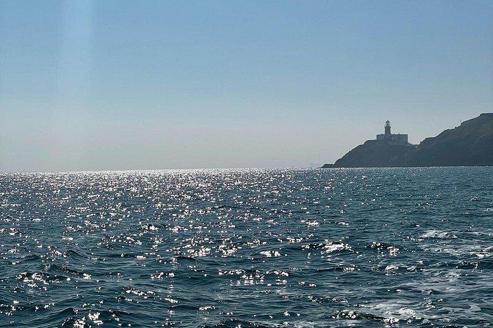Howth Cliffs and Lighthouses Boat Tour