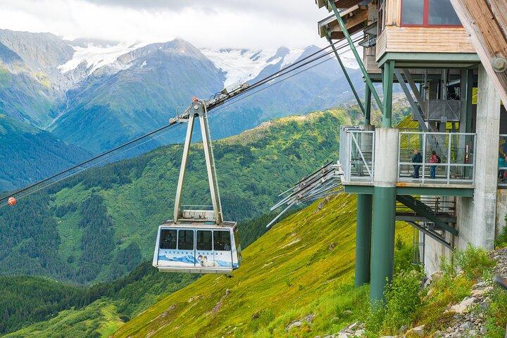 Visite du tramway aérien et du centre de la faune au départ d'Anchorage