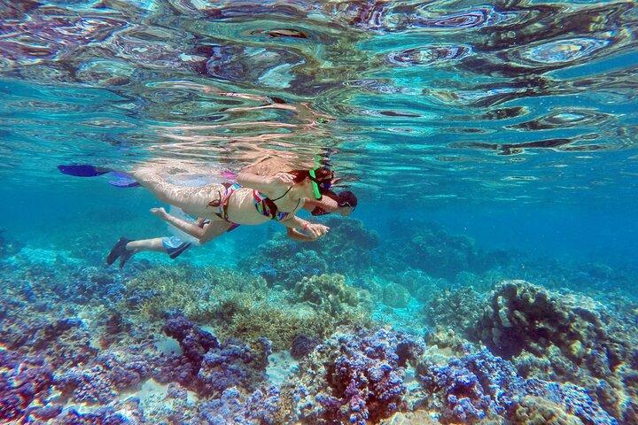 Tour extra de l’île de Tahaa en Bateau et en Journée Complète