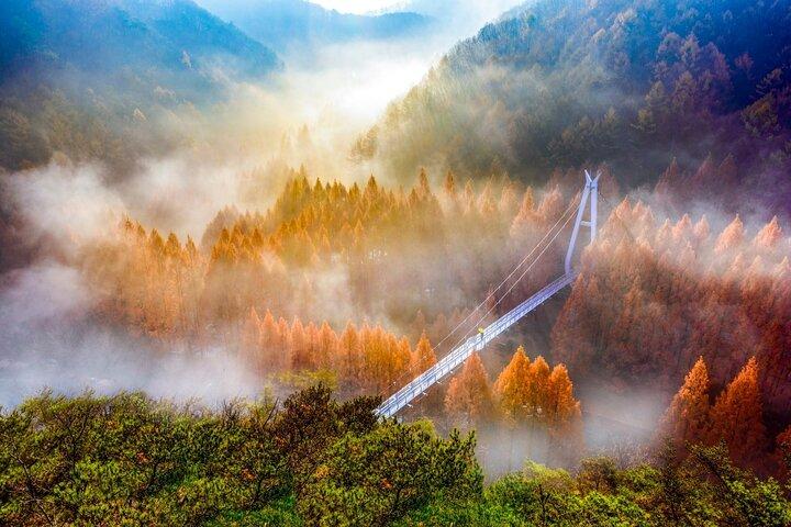 Jangtaesan Autumn Foliage & Daejeon Highlights Day Tour da Seoul