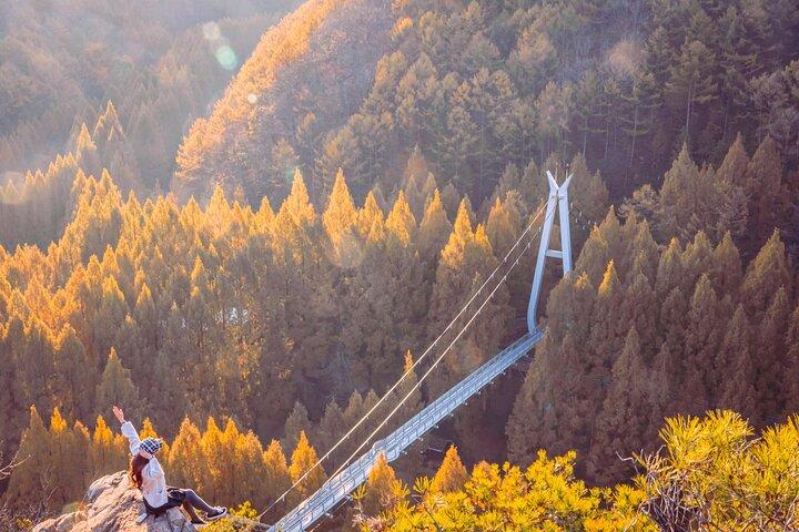 Jangtaesan Autumn Foliage & Daejeon Highlights Day Tour da Seoul