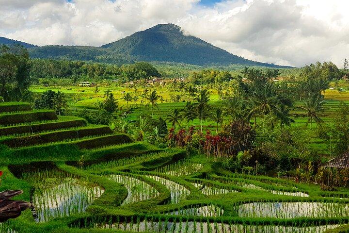 Bali Tanah Lot Jatiluwih risterrasse og Beratan Lake Tour