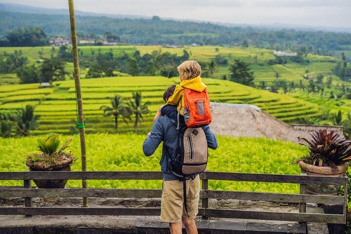Bali Tanah Lot Jatiluwih risterrasse og Beratan Lake Tour