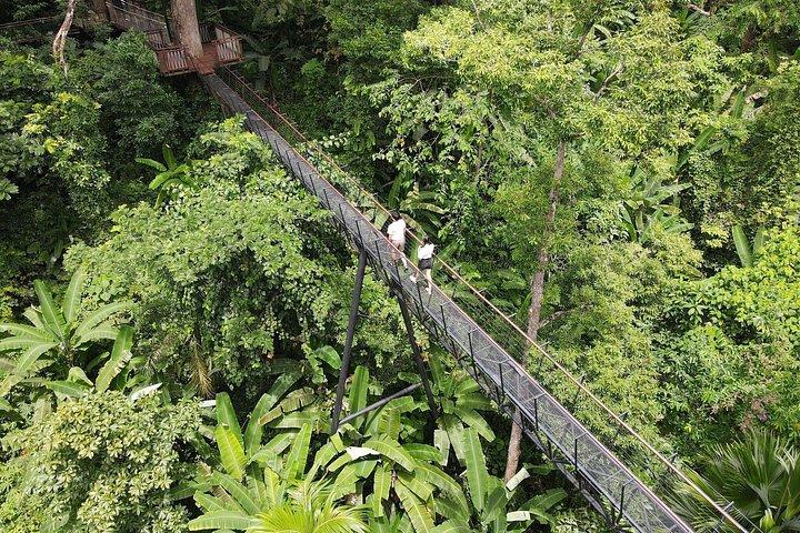 Hanuman World Phuket Rainforest Zipline Experience with Transfers
