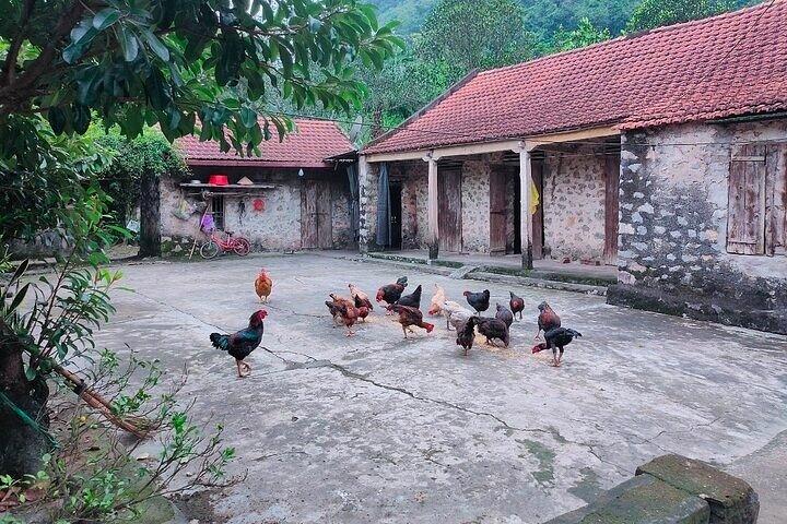 Excursão privada Hoa Lu, Família Local, Tam Coc, Mua Caves de Hanoi