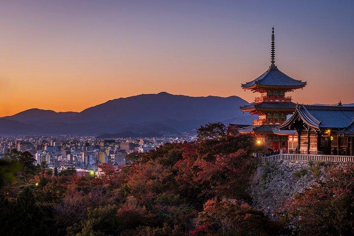 Kyoto Photography Masterclass - Private Photography Lesson