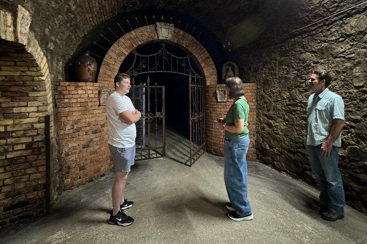 Taste and Tour Small Organic Wineries with a Winemaker