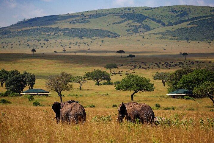 3 jours 2 nuits dans la réserve nationale du Masai Mara avec safari