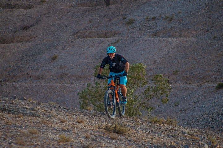Agafay-Wüsten-Duo: E-Bike- und Kamelritt-Abenteuer