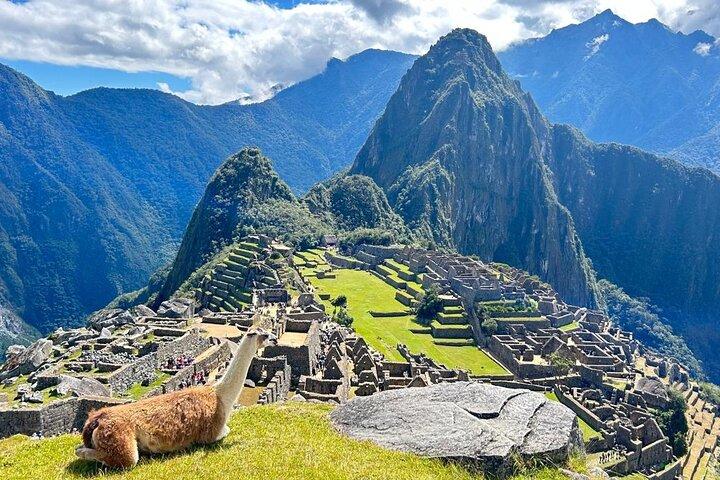 Delt 1-dags Machu Picchu-tur fra Cusco