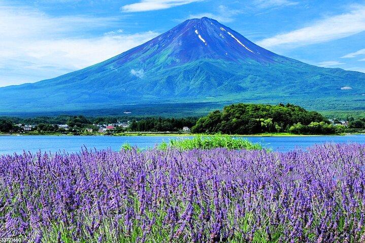 富士山新倉山浅間公園,忍野八海,河口湖ツアー
