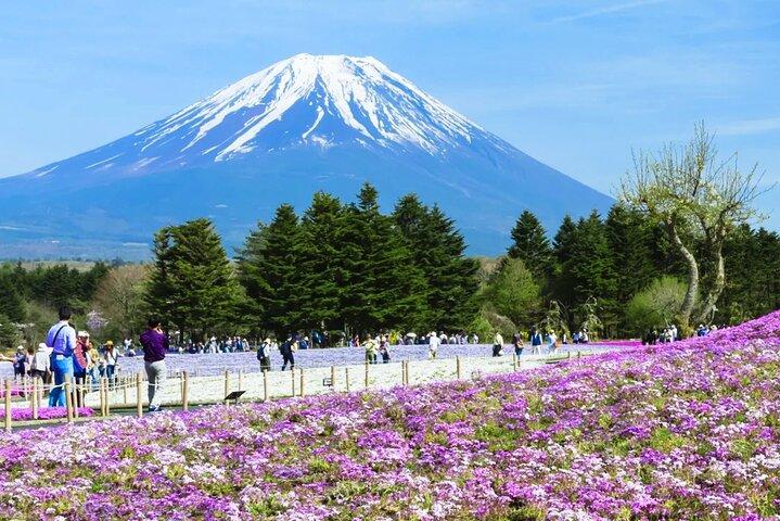 富士山日帰りツアー：河口湖ロープウェイ、抹茶、忍野八海