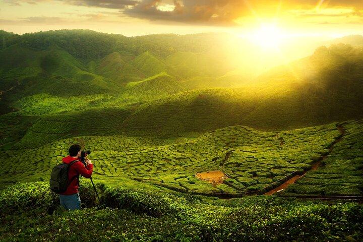 Viaggio naturalistico privato alle Cameron Highlands da Kuala Lumpur