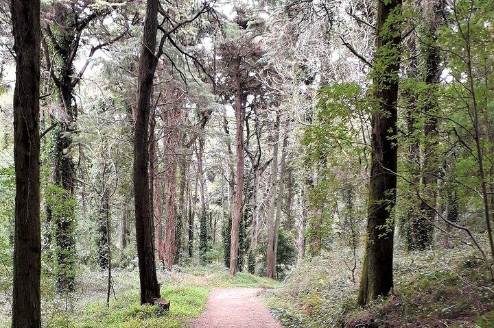 Randonnée privée dans le parc naturel et déjeuner grillé traditionnel