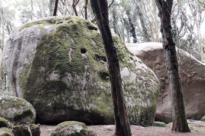 Randonnée privée dans le parc naturel et déjeuner grillé traditionnel