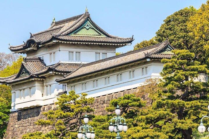 Tour a piedi privato con audioguida a Tokyo