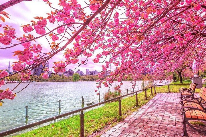 Tour a piedi privato con audioguida a Tokyo