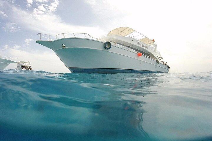 Crucero a la isla de Tirán Excursión de día completo desde Sharm El Sheikh