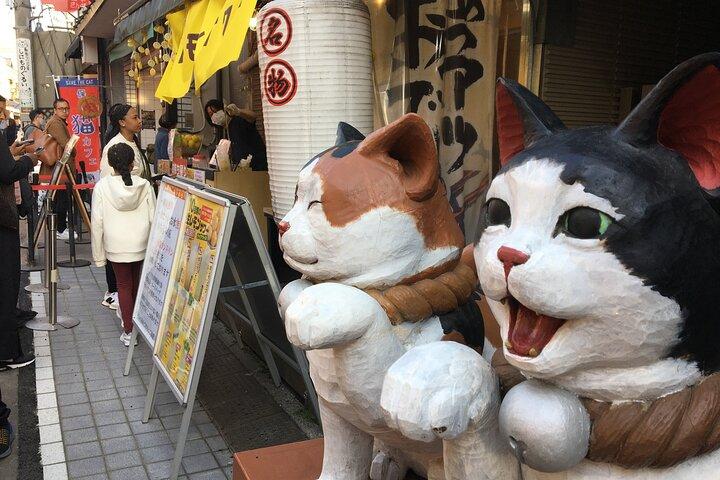 Excursão privada em estilo de visita domiciliar em Yanaka com experiência local