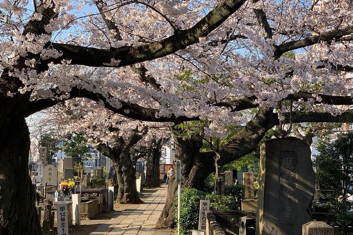地元体験を楽しめる谷中のプライベートホーム訪問ツアー