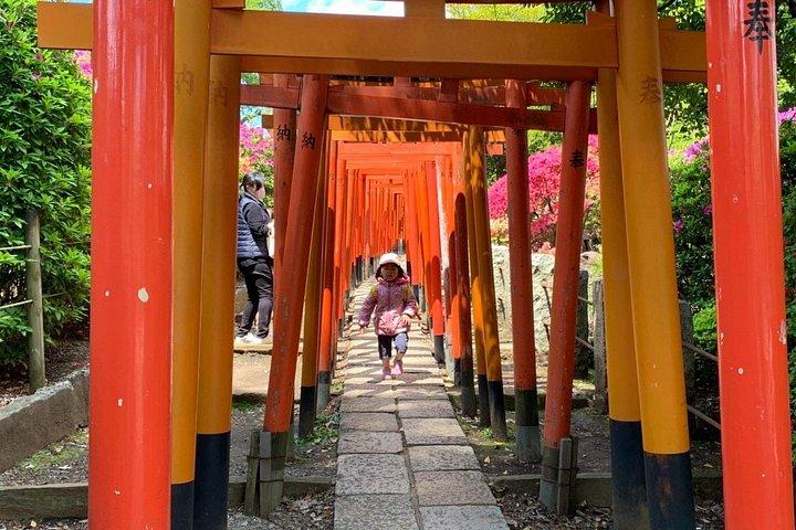 地元体験を楽しめる谷中のプライベートホーム訪問ツアー
