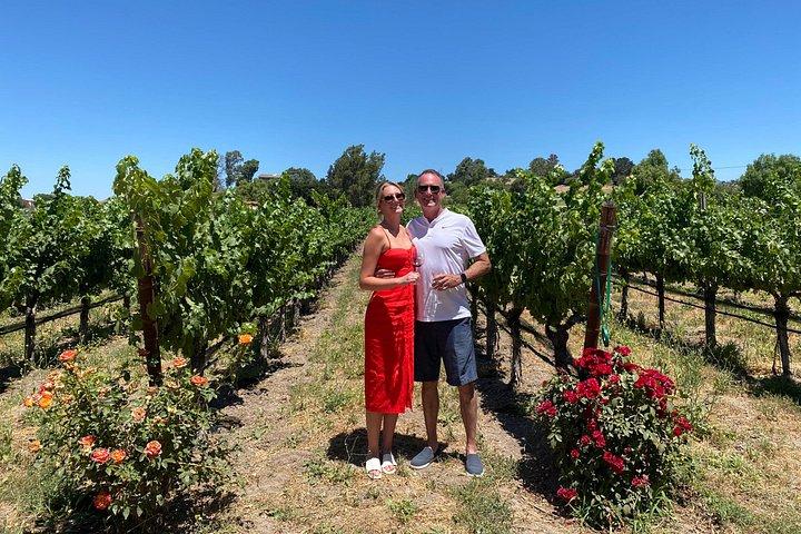 Privat guidet vinlandstur fra Santa Barbara
