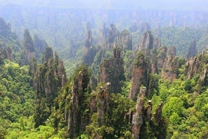 Yuanjiajie Avatar en Tianzi Mountain en Rijstveld Dorpstour