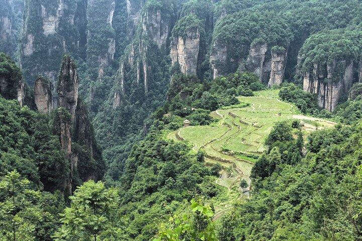 Yuanjiajie Avatar en Tianzi Mountain en Rijstveld Dorpstour
