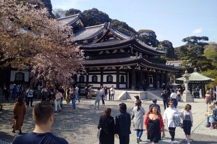De Tóquio: excursão privada de um dia a Kamakura e Enoshima