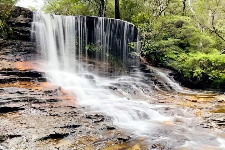Blue Mountains, Wilde Kängurus und eine Kreuzfahrt