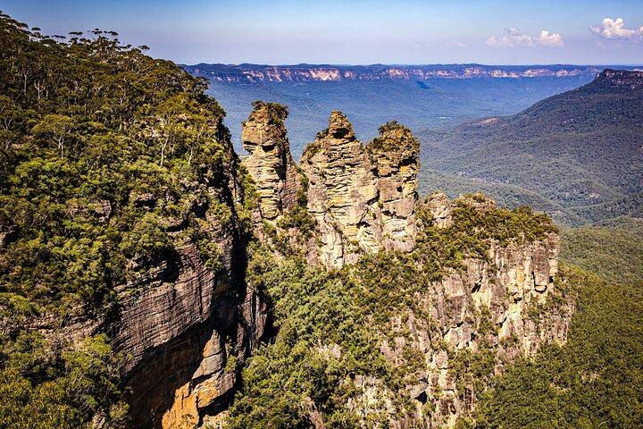 Blue Mountains, Wilde Kängurus und eine Kreuzfahrt