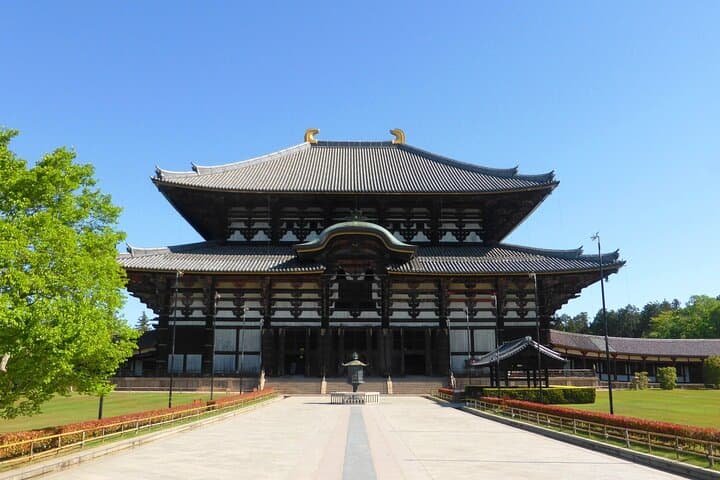 Osaka＆Nara Private Highlights Customizable Tour English Driver