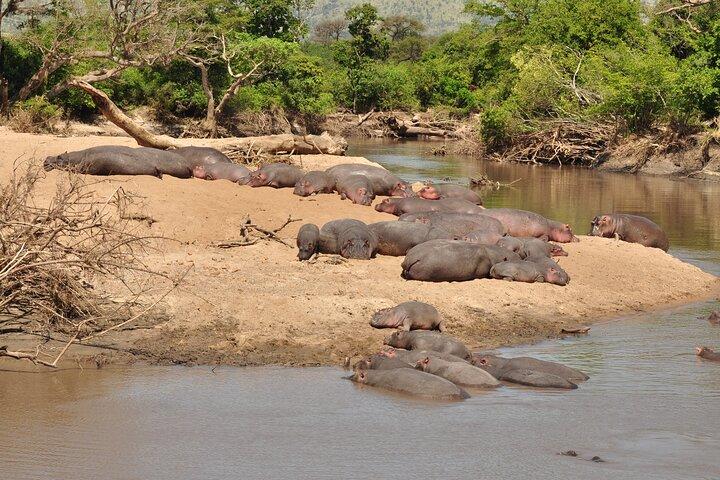 7 - Day Big Five & Great Migration Safari