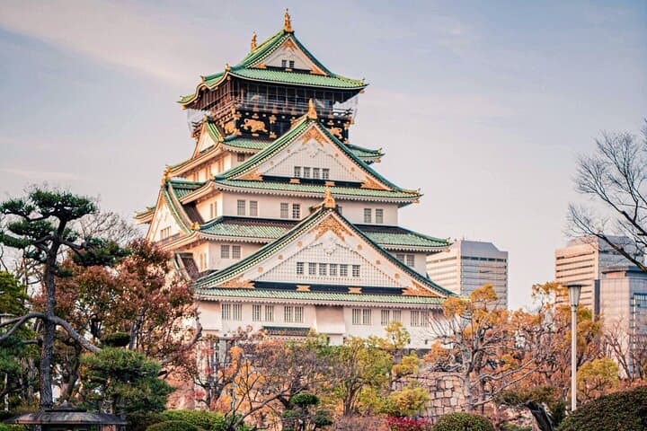 Osaka＆Nara Private Highlights Customizable Tour English Driver