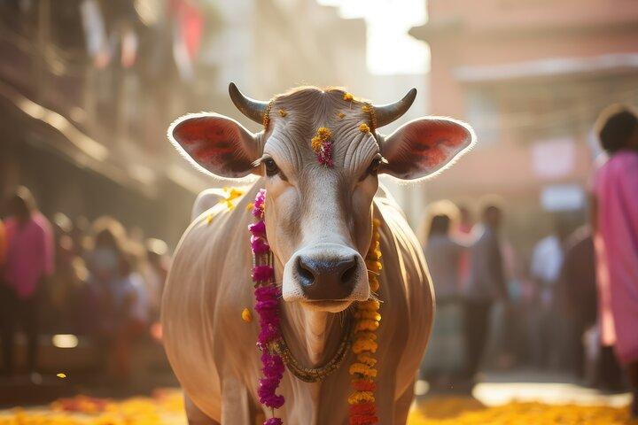 Ultieme 2 dagen in Varanasi - Volledig rondleiding - Diner op het dak op de Ganges