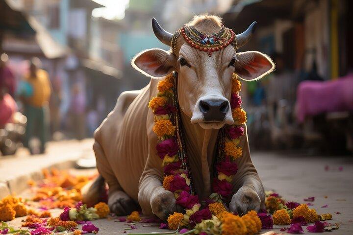 L'ultime 1 journée à Varanasi - Comment passer 13 heures - Visite guidée privée