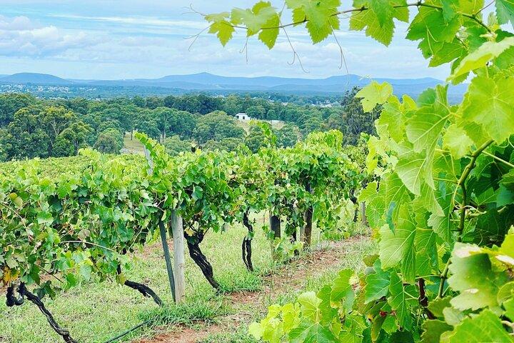 Private Hunter Valley Wine Tour | Full Day Experience From Sydney