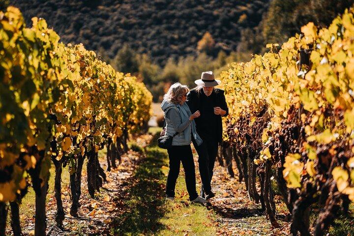 Taste of Gibbston Private Wine Tour saindo de Queenstown e retorno.