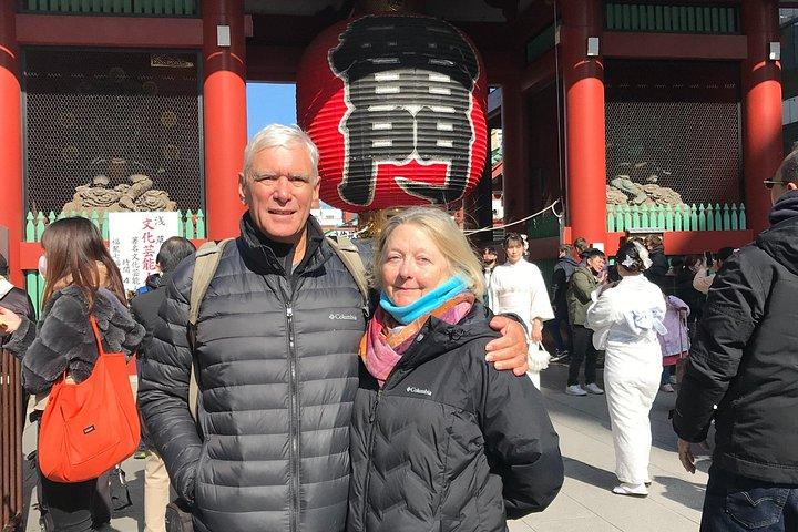 Tokyo City Tour & Tea Ceremony Experience, Licensed Guide