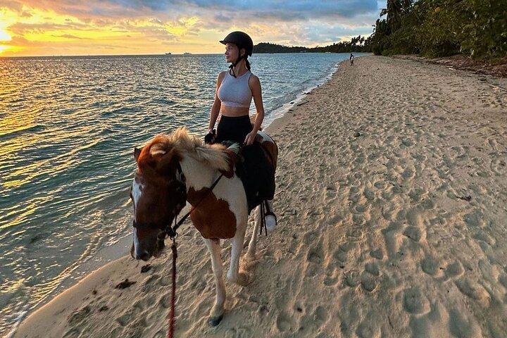 Scenic Sunset Horse Rides on the Beach in Koh Samui