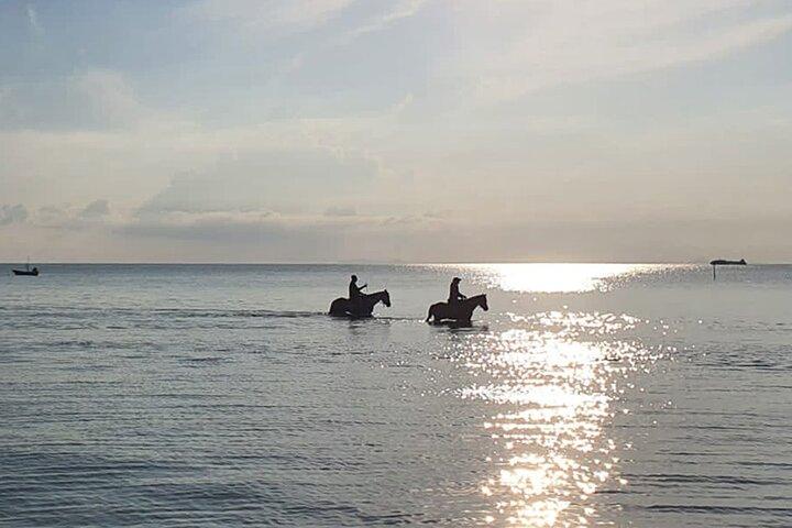 Scenic Sunset Horse Rides on the Beach in Koh Samui