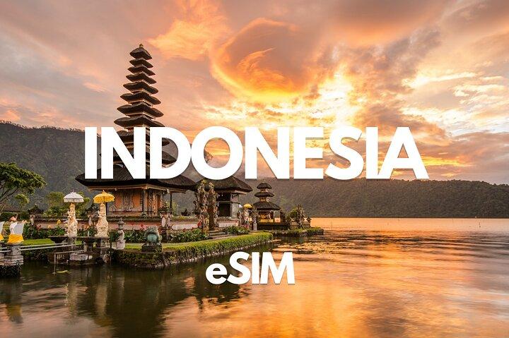 Bali Data eSIM: 毎日0.5GBから20GB-30日（即納）