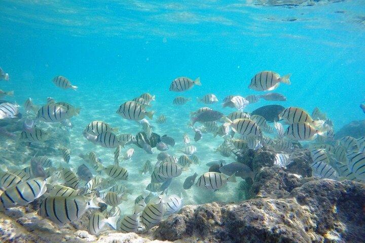 Sian Ka'an Tour pelas Ruínas de Muyil e um Nado no Cenote Mágico