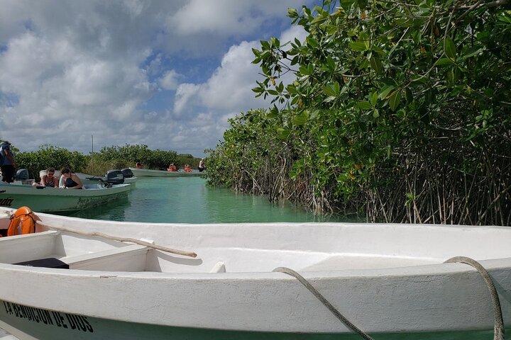 シアン・カアンのムイル遺跡ツアーと魔法のセノーテでの水泳