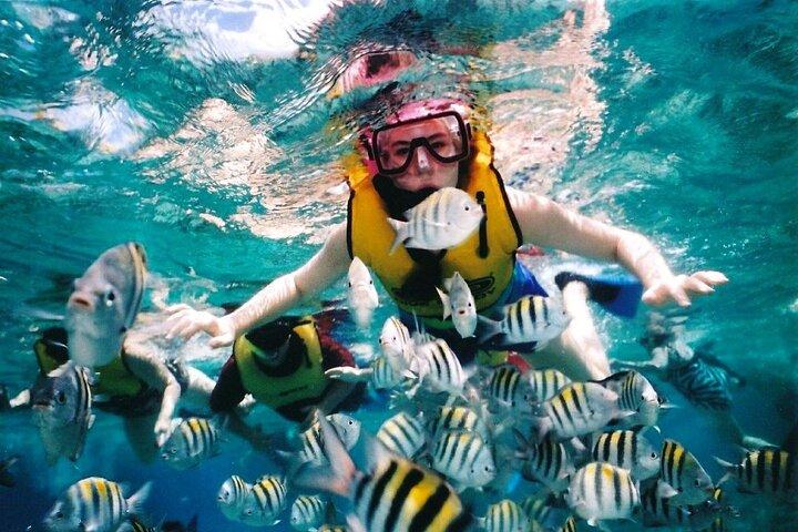 シアン・カアンのムイル遺跡ツアーと魔法のセノーテでの水泳