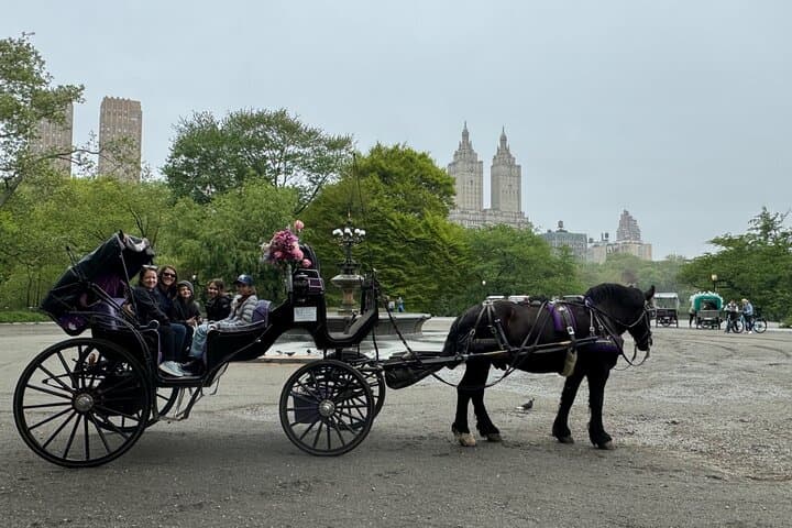 NYC Empire State Horses Carriage Ride in Central Park(55 Mins)