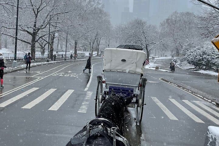 NYC Empire State Horses Carriage Ride in Central Park(55 Mins)